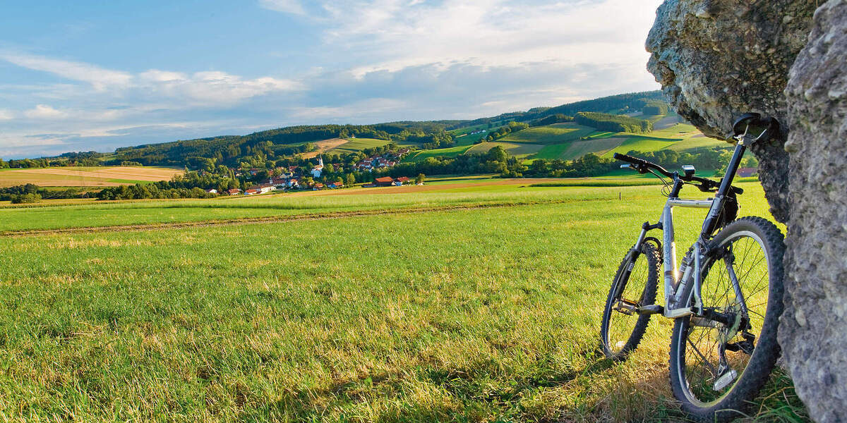 Ein Fahrrad lehnt an einem Baum und im Hintergrund sind weitläufige Wiesen zu erkennen.