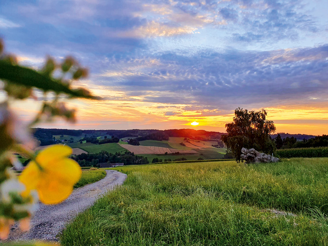 Sonnenuntergang über der hügeligen Wiesenlandschaft Niederbayerns