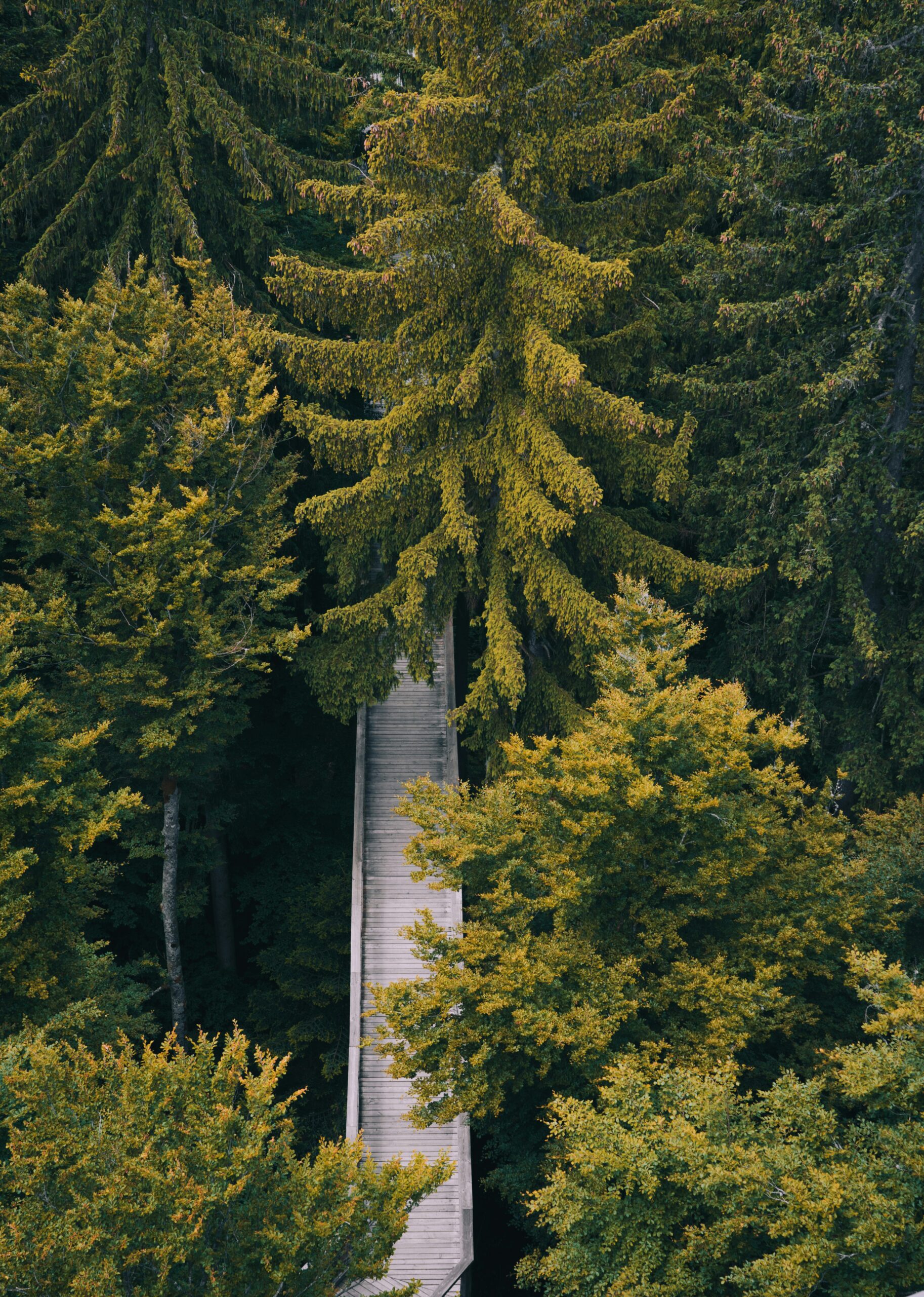 Wanderweg für einen Outdoorurlaub in Bad Birnbach