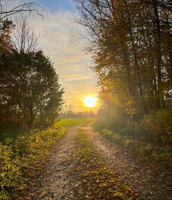Sonnenuntergang auf einer Wanderung im Aktivurlaub in Bayern
