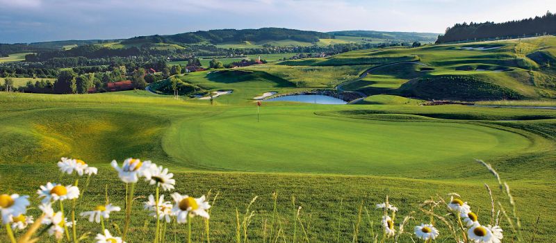 Panorama des Bella Vista Golfparks mit Grün, Wasserhindernis und Margeriten im Vordergrund