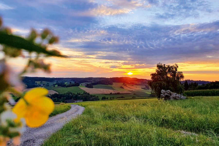 Sunset over the rolling meadows of Lower Bavaria with a winding country lane